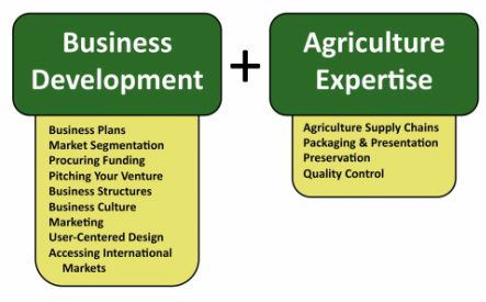 Business and Technical Topics Explored